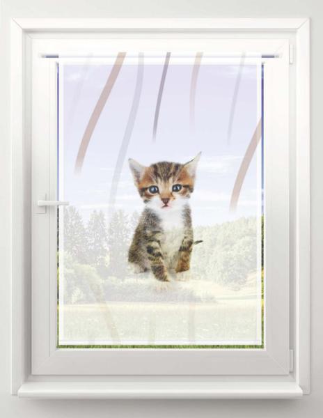 Scheibenhänger Findus vertic – rechteckig